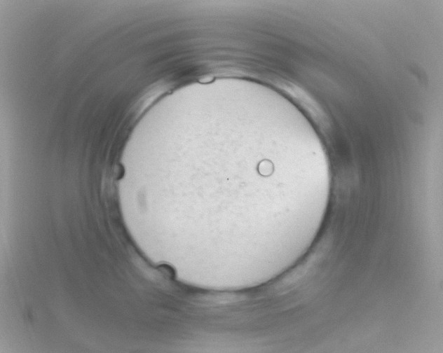 X0000115041193200911231126