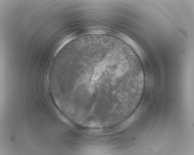 X0000115041194200911231126