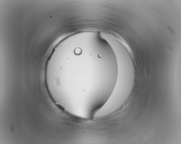 X0000115041195200911231126