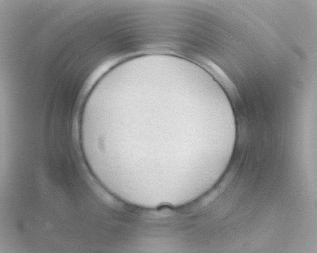 X0000115041196200911231126