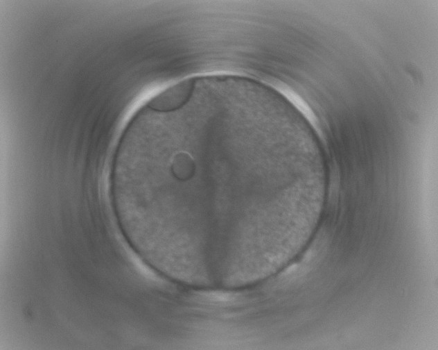 X0000115041197200911231126