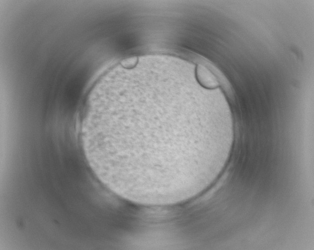 X0000115041198200911231126