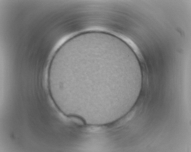 X0000115041199200911231126