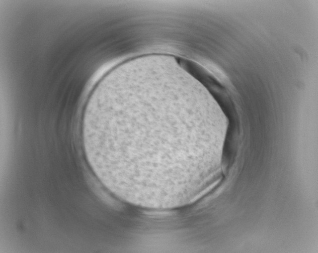 X0000115041200200911231126