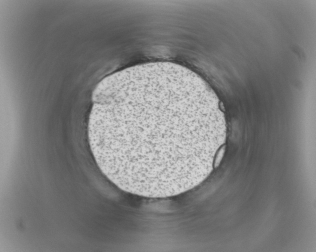 X0000115041201200911231125