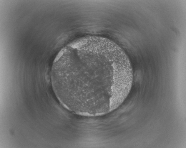 X0000115041202200911231125