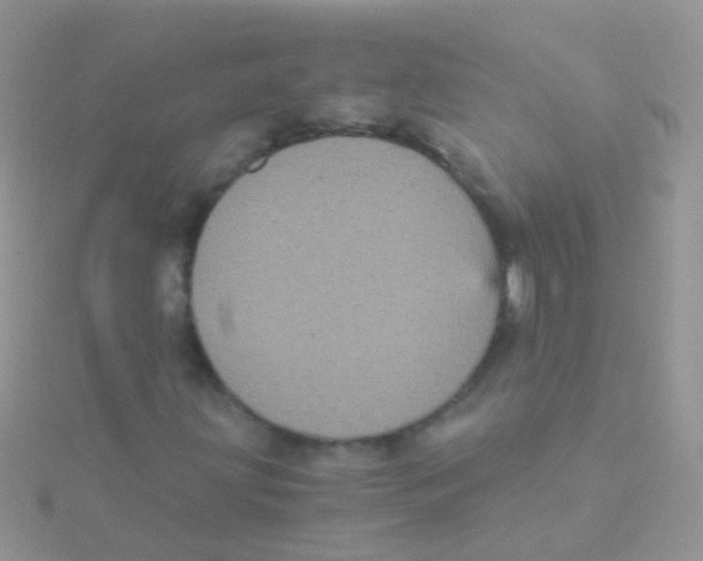 X0000115041203200911231125