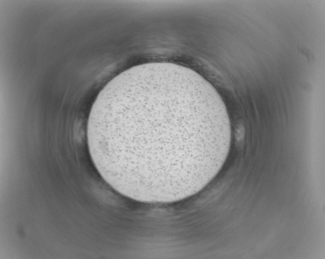 X0000115041204200911231125