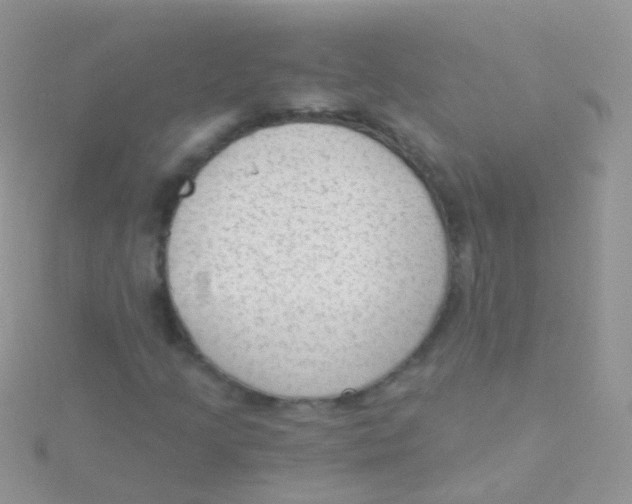 X0000115041205200911231125