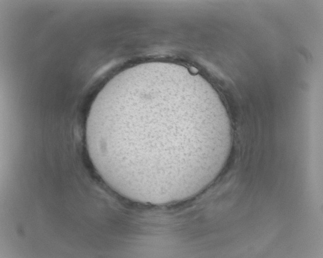 X0000115041206200911231125