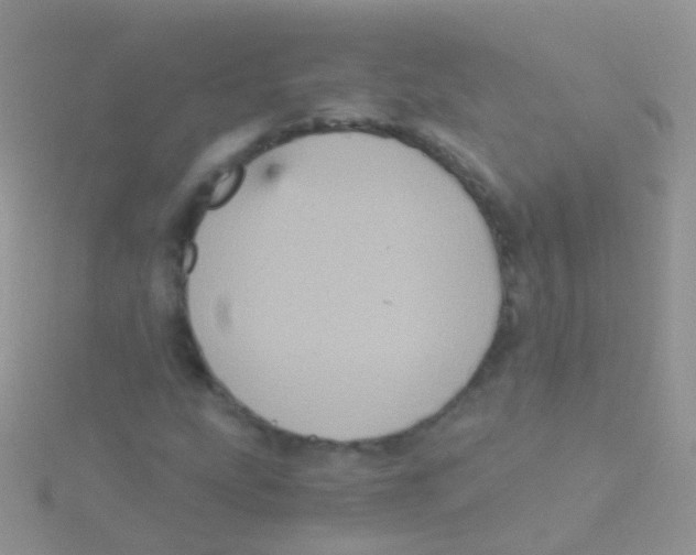 X0000115041207200911231125