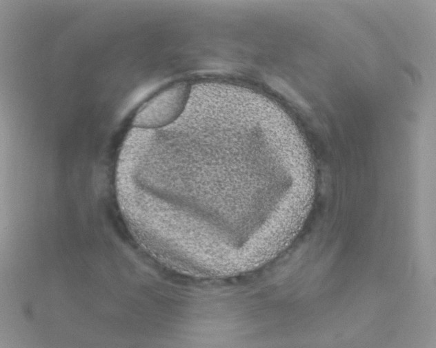 X0000115041208200911231125