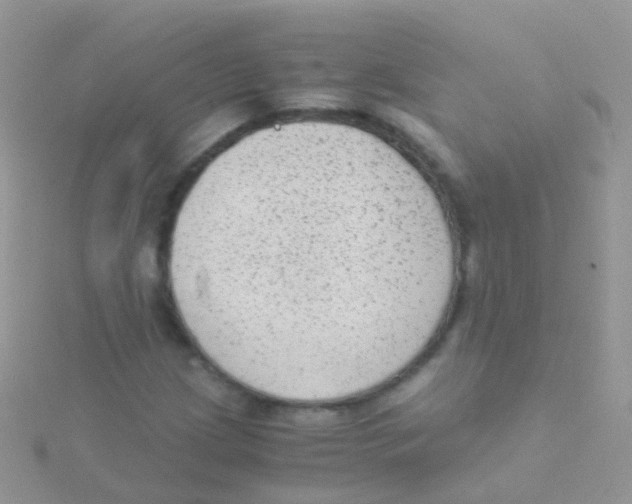 X0000115041209200911231125