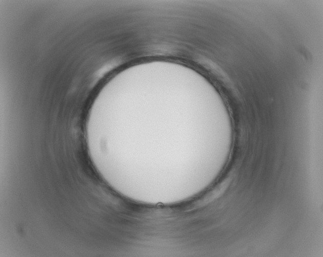 X0000115041210200911231125