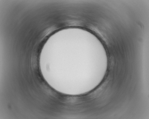 X0000115041211200911231126