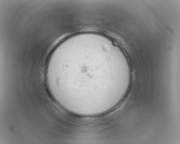 X0000115041212200911231126