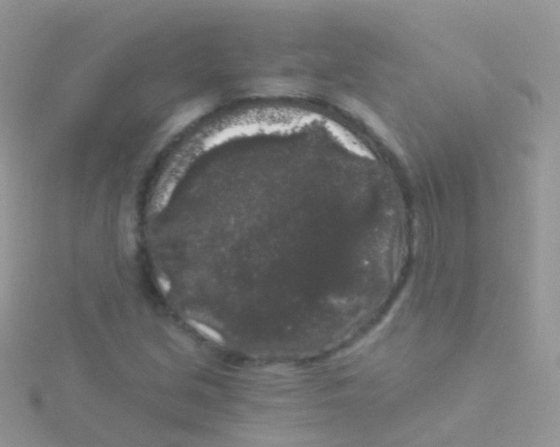 X0000115041213200911231126