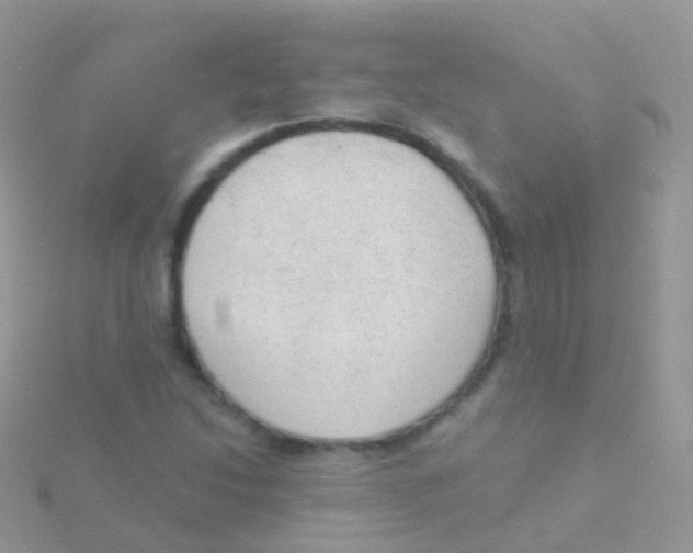 X0000115041214200911231126