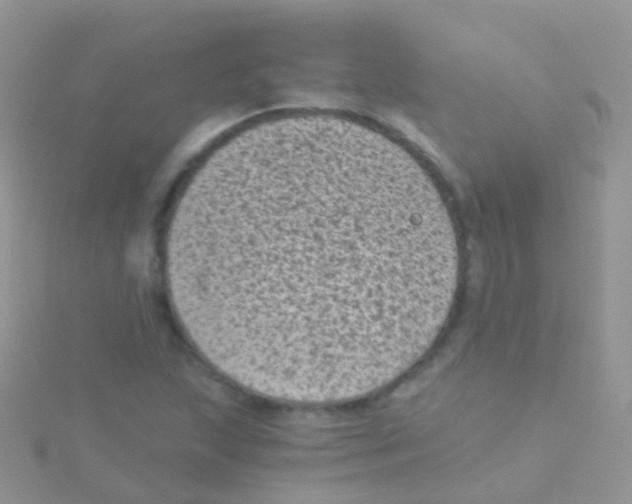 X0000115041215200911231126