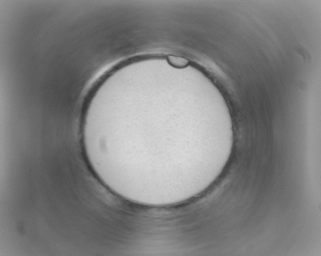 X0000115041216200911231126