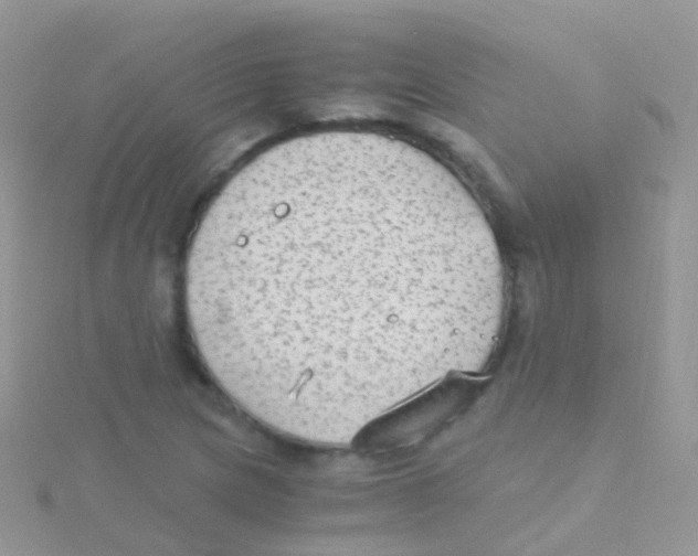 X0000115041217200911231126