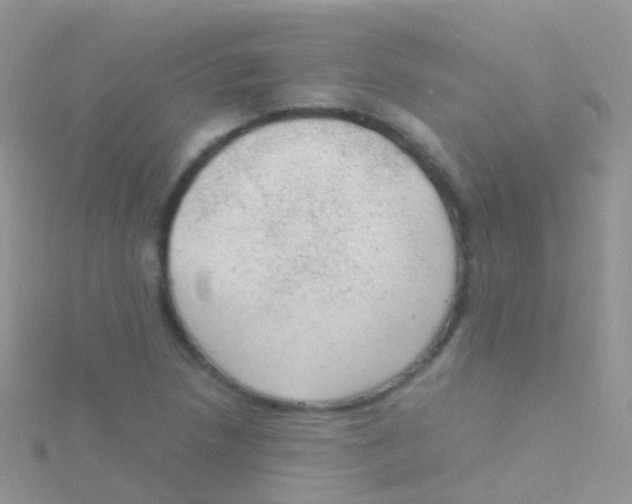 X0000115041218200911231126