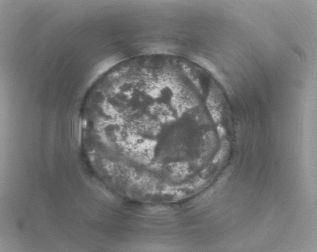 X0000115041219200911231126