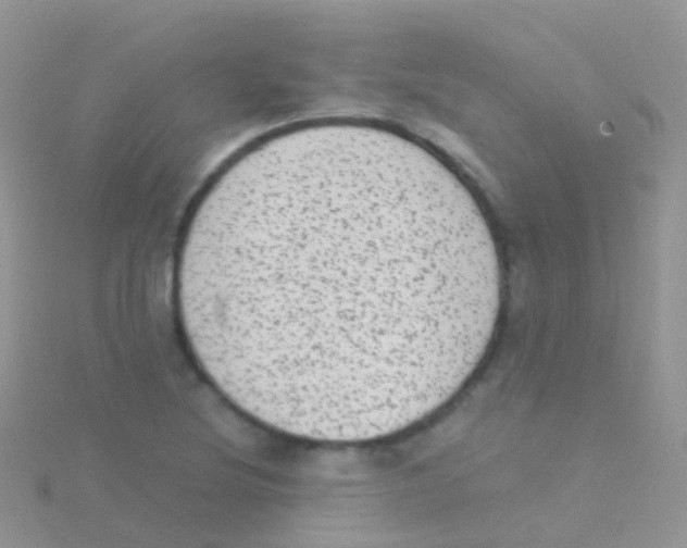 X0000115041220200911231126