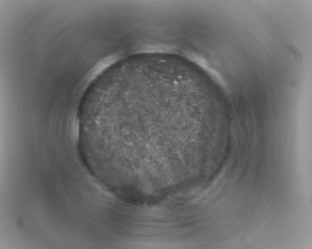 X0000115041221200911231126