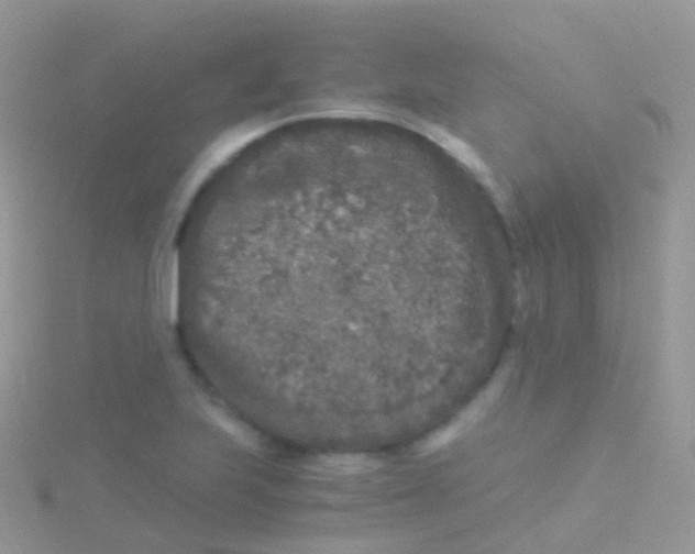 X0000115041223200911231126