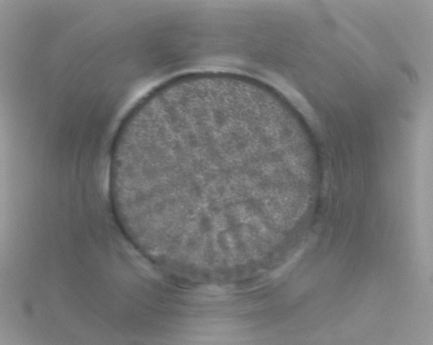 X0000115041224200911231126