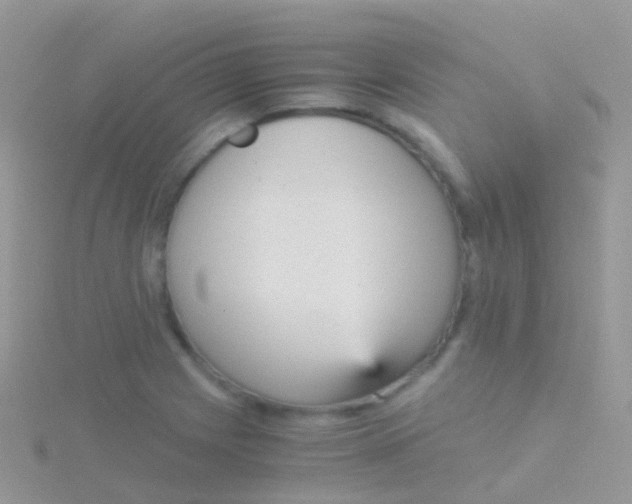 X0000115041225200911231126