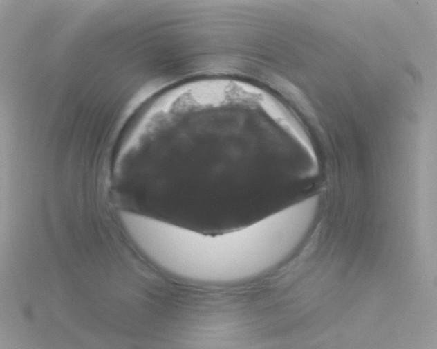 X0000115041226200911231126