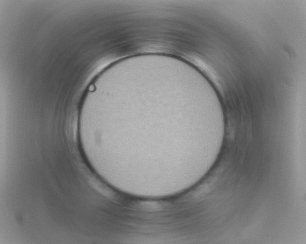 X0000115041227200911231126