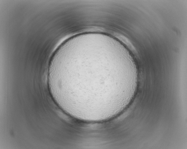 X0000115041228200911231126