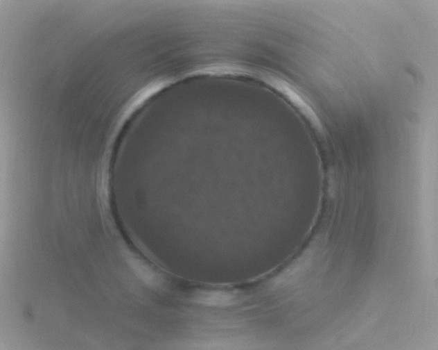 X0000115041229200911231126