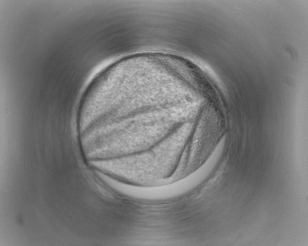 X0000115041230200911231126