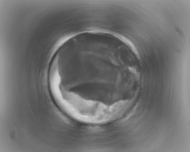 X0000115041231200911231126