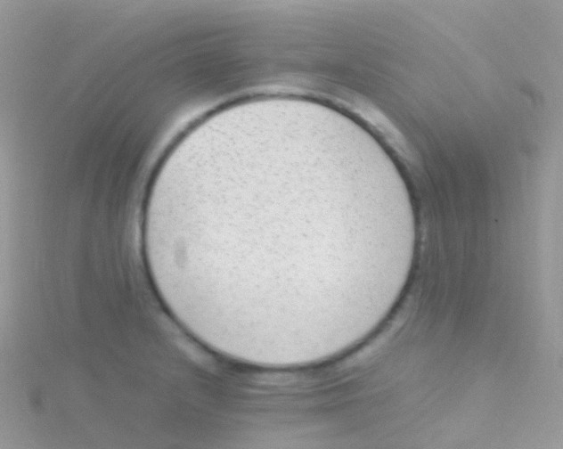 X0000115041232200911231126