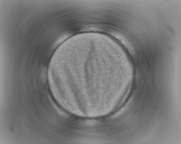 X0000115041233200911231126