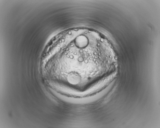 X0000115041234200911231126