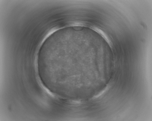 X0000115041235200911231126