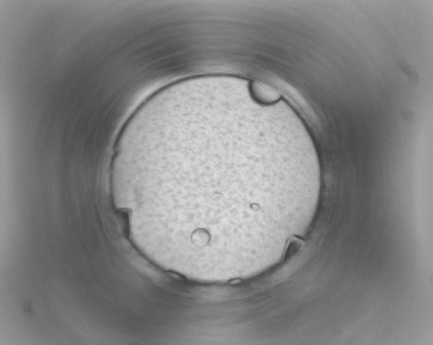 X0000115041236200911231126