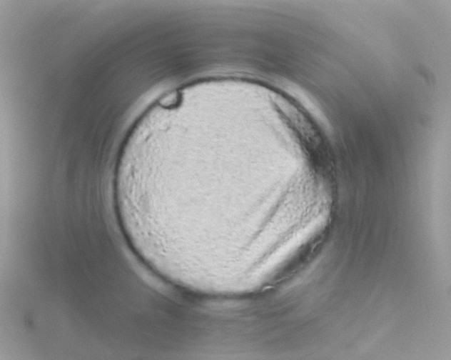 X0000115041237200911231126