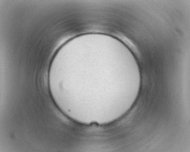 X0000115041238200911231126