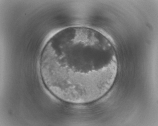 X0000115041239200911231126