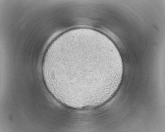 X0000115041240200911231126