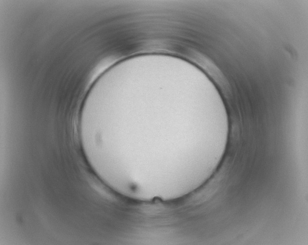 X0000115041242200911231126