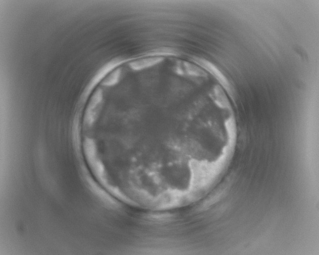 X0000115041243200911231126