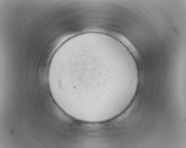 X0000115041244200911231126